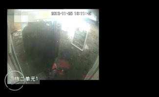 舔下边全过程视频,一场刺激的感官冒险