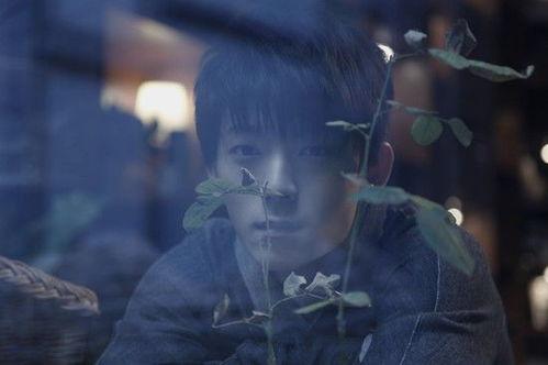 藏 视频,视频中的神秘西藏之旅