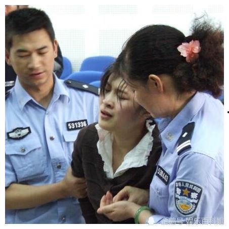 木鸿章视频,揭秘传统武术与现代搏击的融合之道