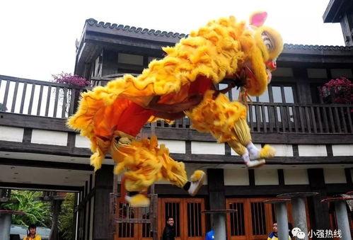 广东舞狮打鼓教学视频,视频教学揭秘