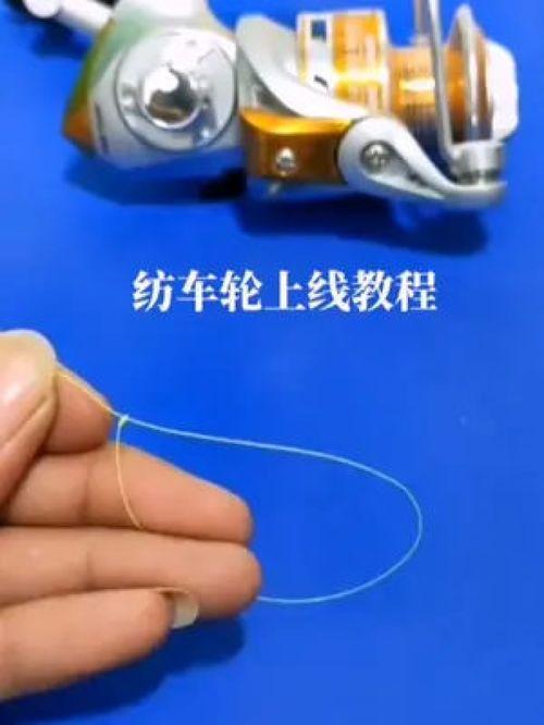 鱼轮上线视频,揭秘新型捕鱼利器