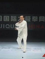 赵幼斌85式杨式太极拳视频,赵幼斌演绎经典拳法精髓