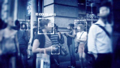 脑场视频,探索人类思维奥秘的视觉之旅