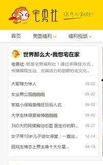 宅男社视频,揭秘二次元世界的魅力与生活