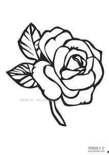 玫瑰花的画法视频