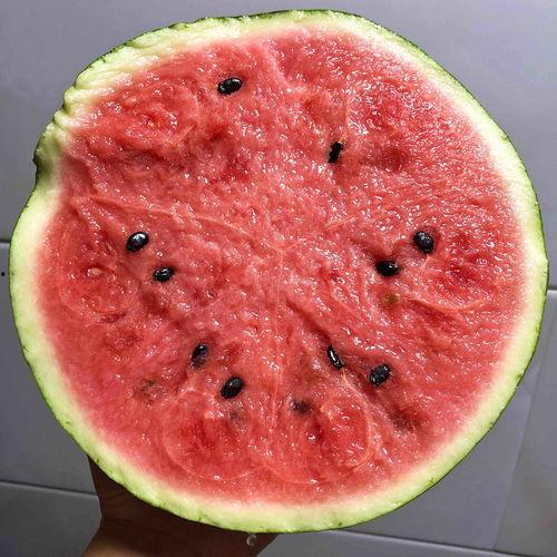 西瓜西瓜视频,探索短视频新潮流，畅享精彩瞬间