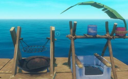 木筏生存视频,荒岛求生挑战背后的生存智慧